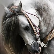 Схема вышивки «Красива !»