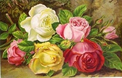 Розы - цветы, живопись, розы - оригинал