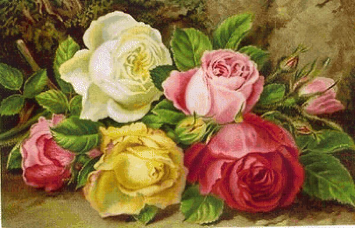 Розы - розы, цветы, живопись - предпросмотр