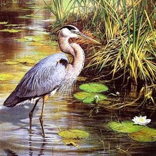 Схема вышивки «№2572768»