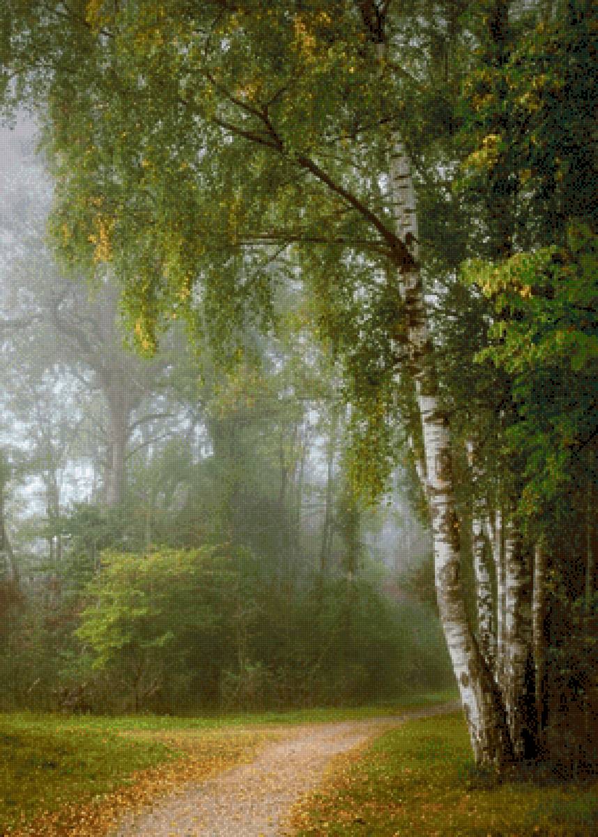 №2572800 - предпросмотр