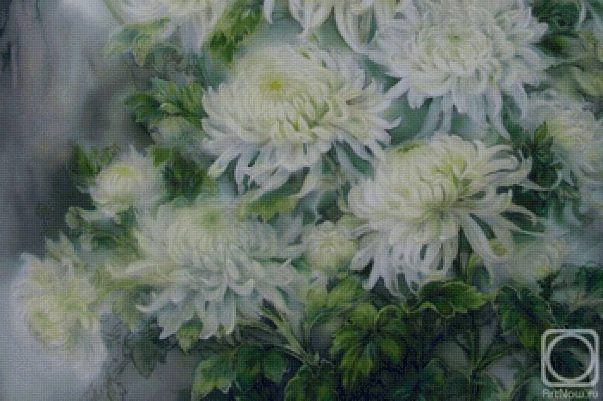 Белые хризантемы - хризантемы, цветы, живопись - предпросмотр