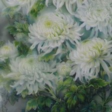 Схема вышивки «Белые хризантемы»