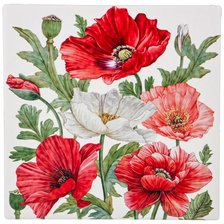 Схема вышивки «Маки»