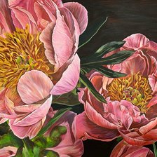 Схема вышивки «Пионы»