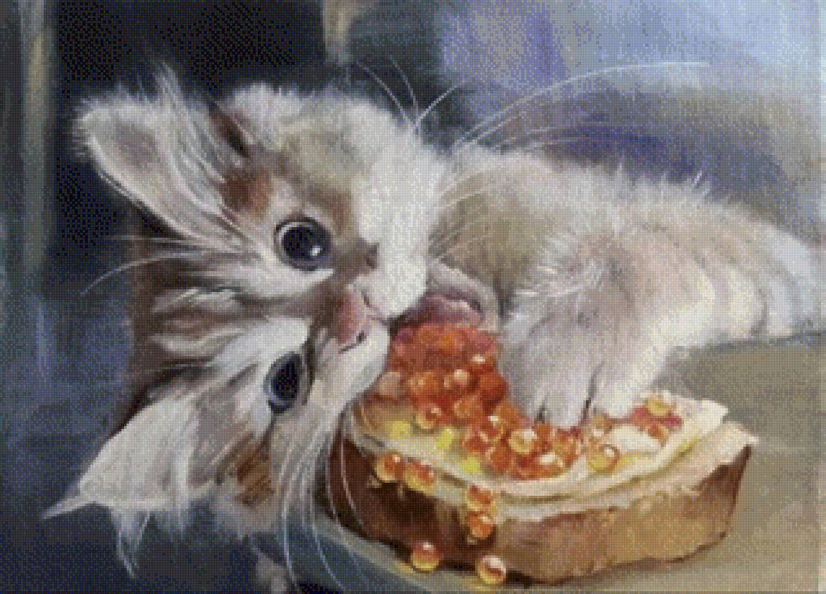 Кот - кот 🐱 - предпросмотр