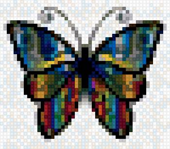 Bươm bướm - предпросмотр