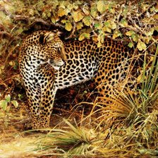 Схема вышивки «№2573519»