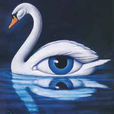 Схема вышивки «лебедь Ольбинского»