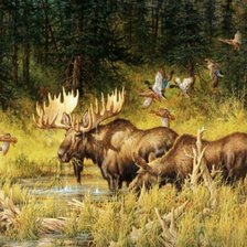 Схема вышивки «№2573565»