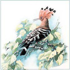 Схема вышивки «№2573571»