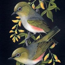 Схема вышивки «Питицы»