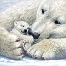 Схема вышивки «Белые медведи»