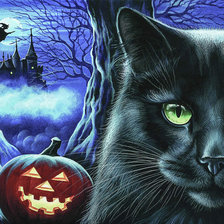 Схема вышивки «Кот в сапогах»