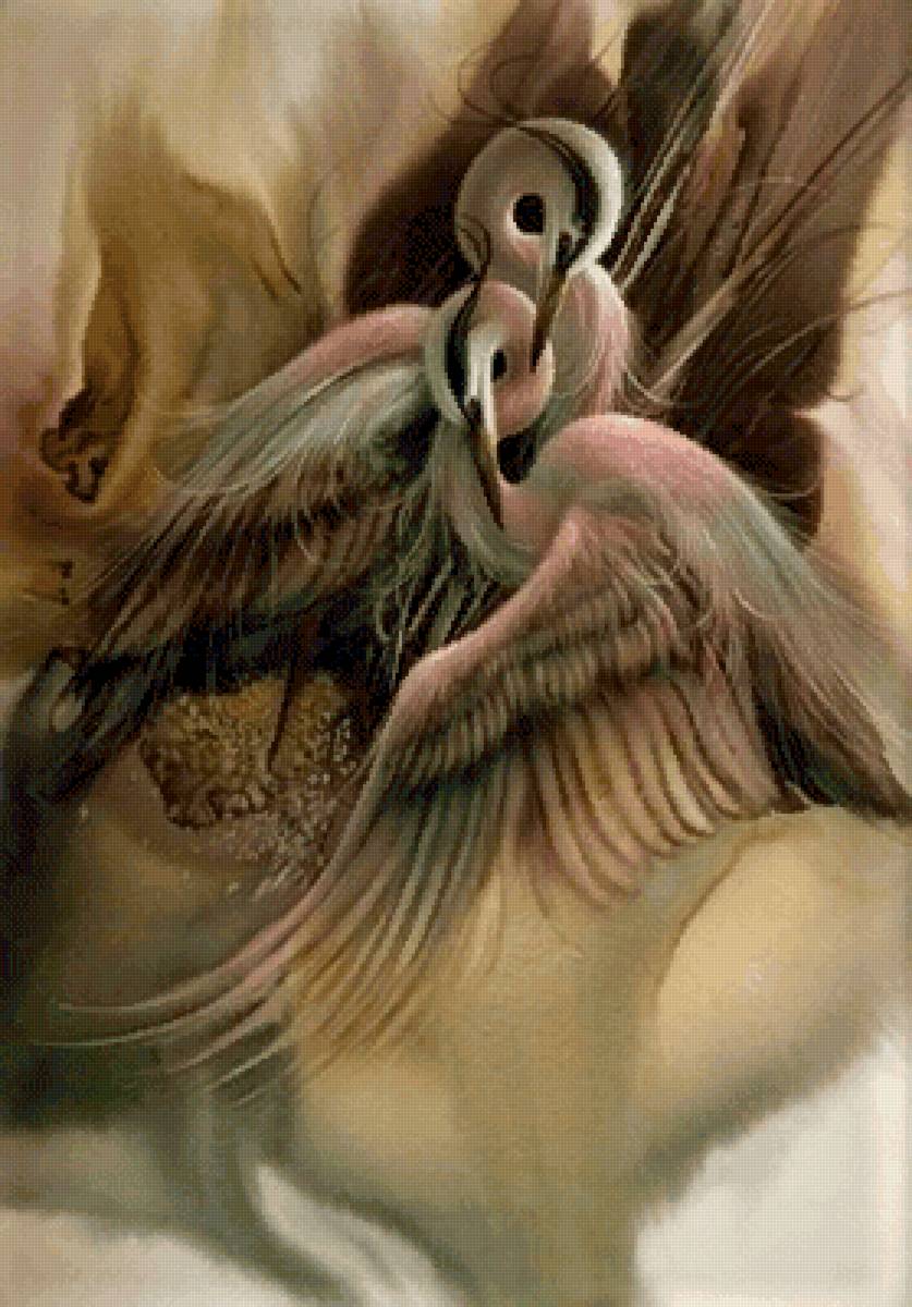 Цапли - птицы - предпросмотр