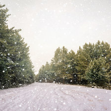 Схема вышивки «№2574704»