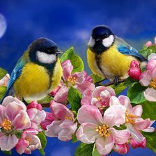 Схема вышивки «СНЕГИРИ»