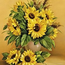 подсолнухи