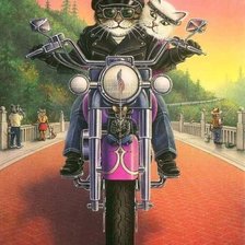 Беспечный ездок