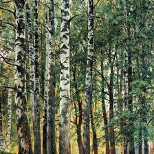 Схема вышивки «Берёзовая роща. Иван Шишкин. 1896»