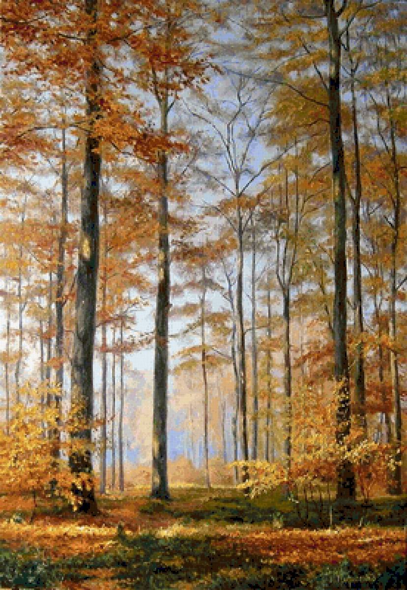 осенний лес - природа - предпросмотр