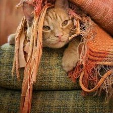 Схема вышивки «№2576030»