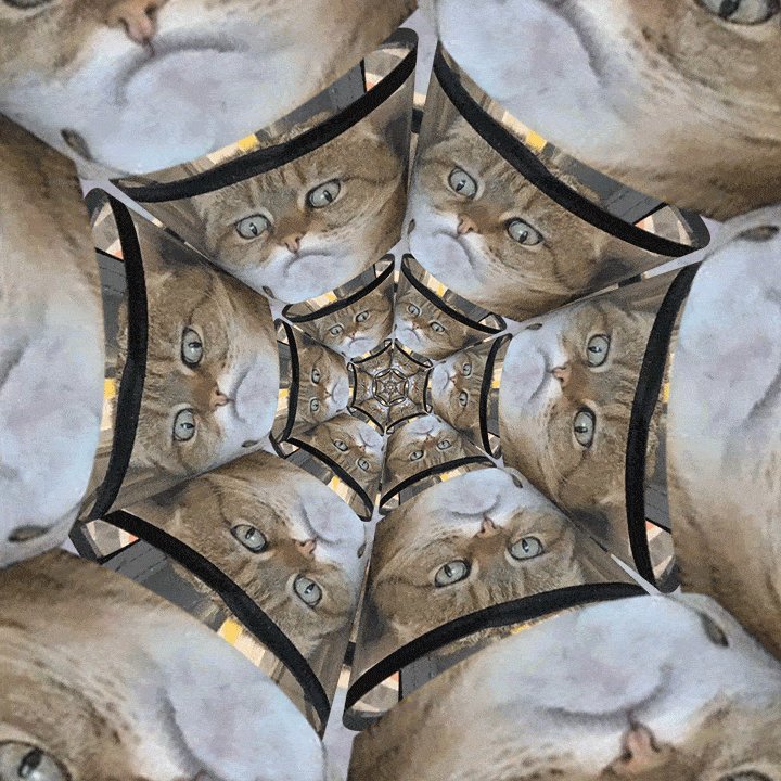 котогипноз - оригинал