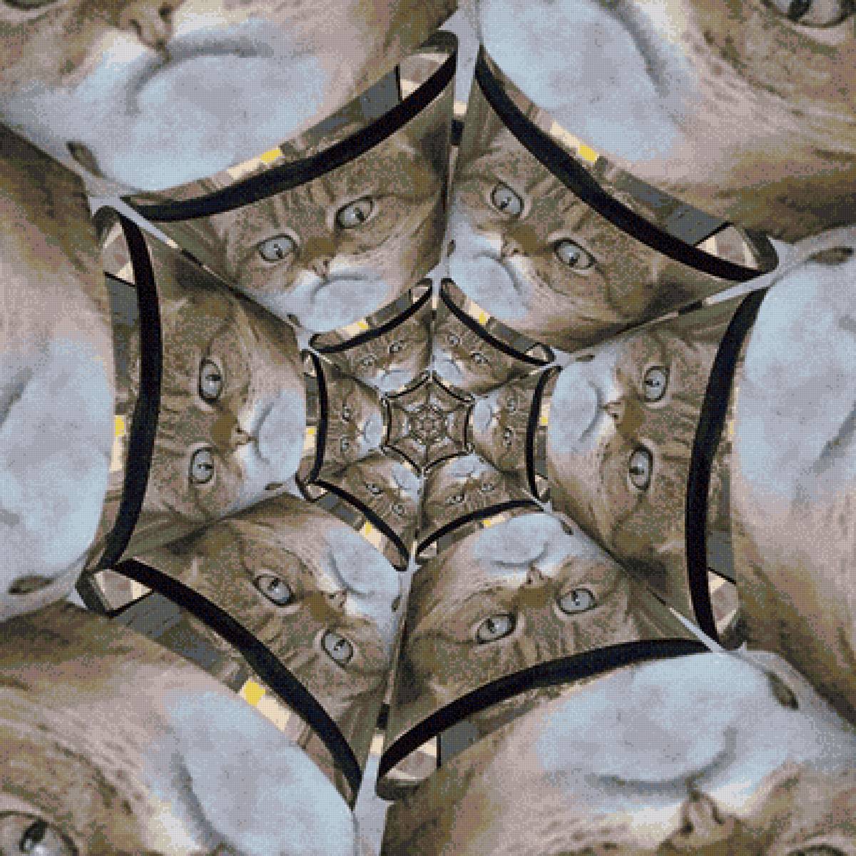 котогипноз - предпросмотр