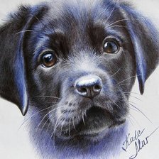 Схема вышивки «Няша»