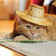 Схема вышивки «№2576529»