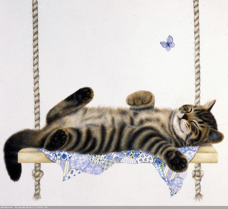 Котик - кот 🐱 - оригинал