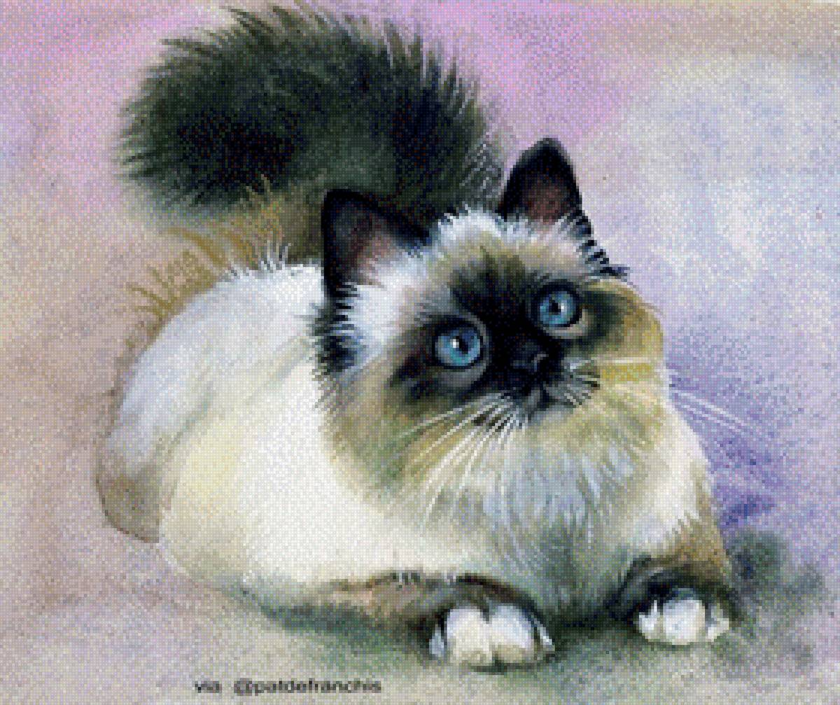 ,,Мурка,, - кот 🐱 - предпросмотр