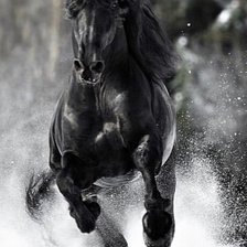 Схема вышивки «Жеребец»