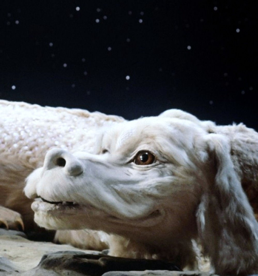 Фалкор - фэнтези, дракон - оригинал