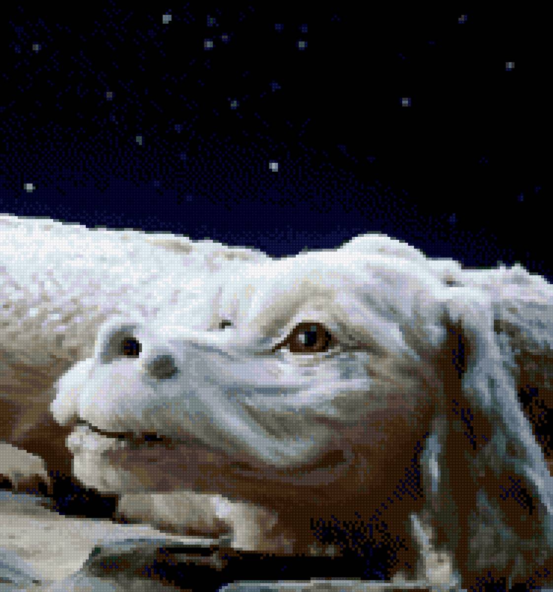 Фалкор - фэнтези, дракон - предпросмотр