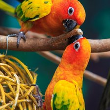 Схема вышивки «№2577457»