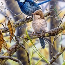 Схема вышивки «№2577708»