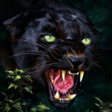 Схема вышивки «Дикая кошка»