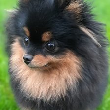 Схема вышивки «Перфекта 2»