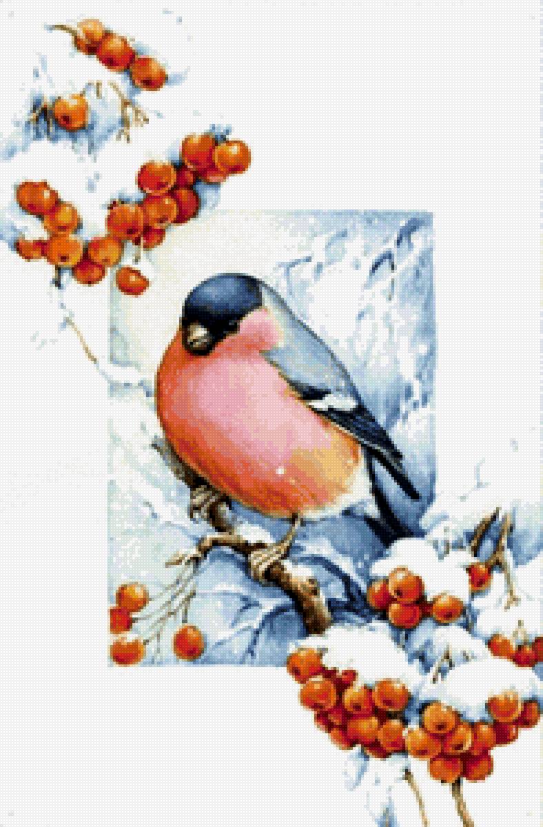 снегирь - птицы - предпросмотр