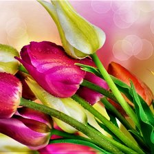 Схема вышивки «ВЕСНА.ТЮЛЬПАНЫ.»