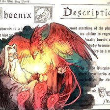 Схема вышивки «Hp Phoenix»