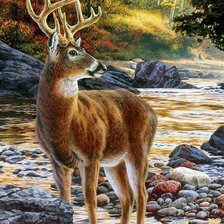 Схема вышивки «ciervo en río»