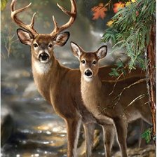 Схема вышивки «ciervos»