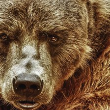 Схема вышивки «Мишка»