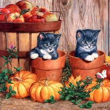 Схема вышивки «№2579202»