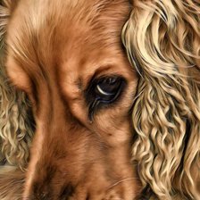 Схема вышивки «Старый друг»