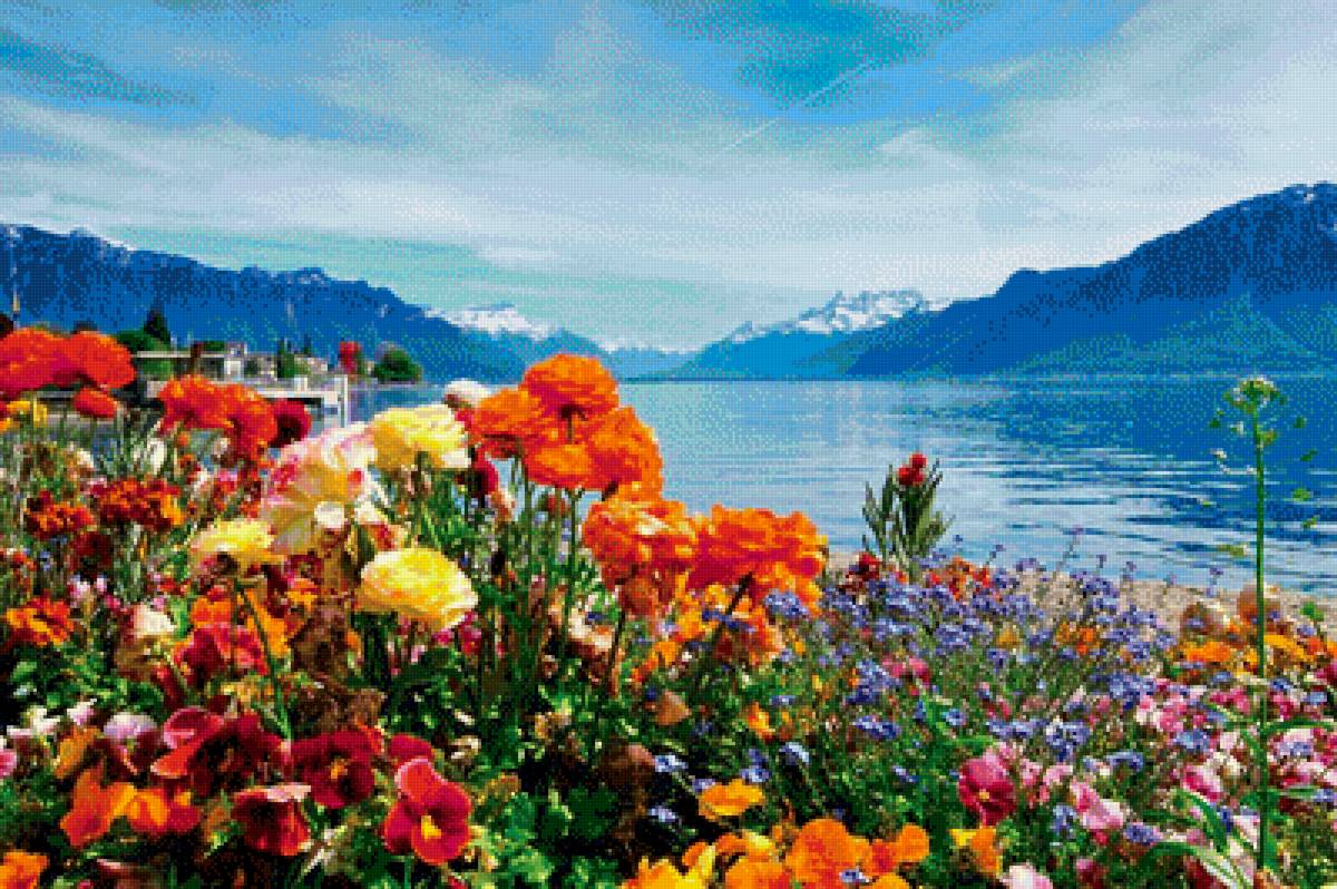 Швейцария-цветы и горы - цветы, природа, горы, море, пейзаж - предпросмотр