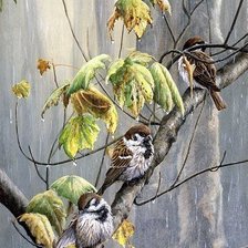 Схема вышивки «Осенний дождь»