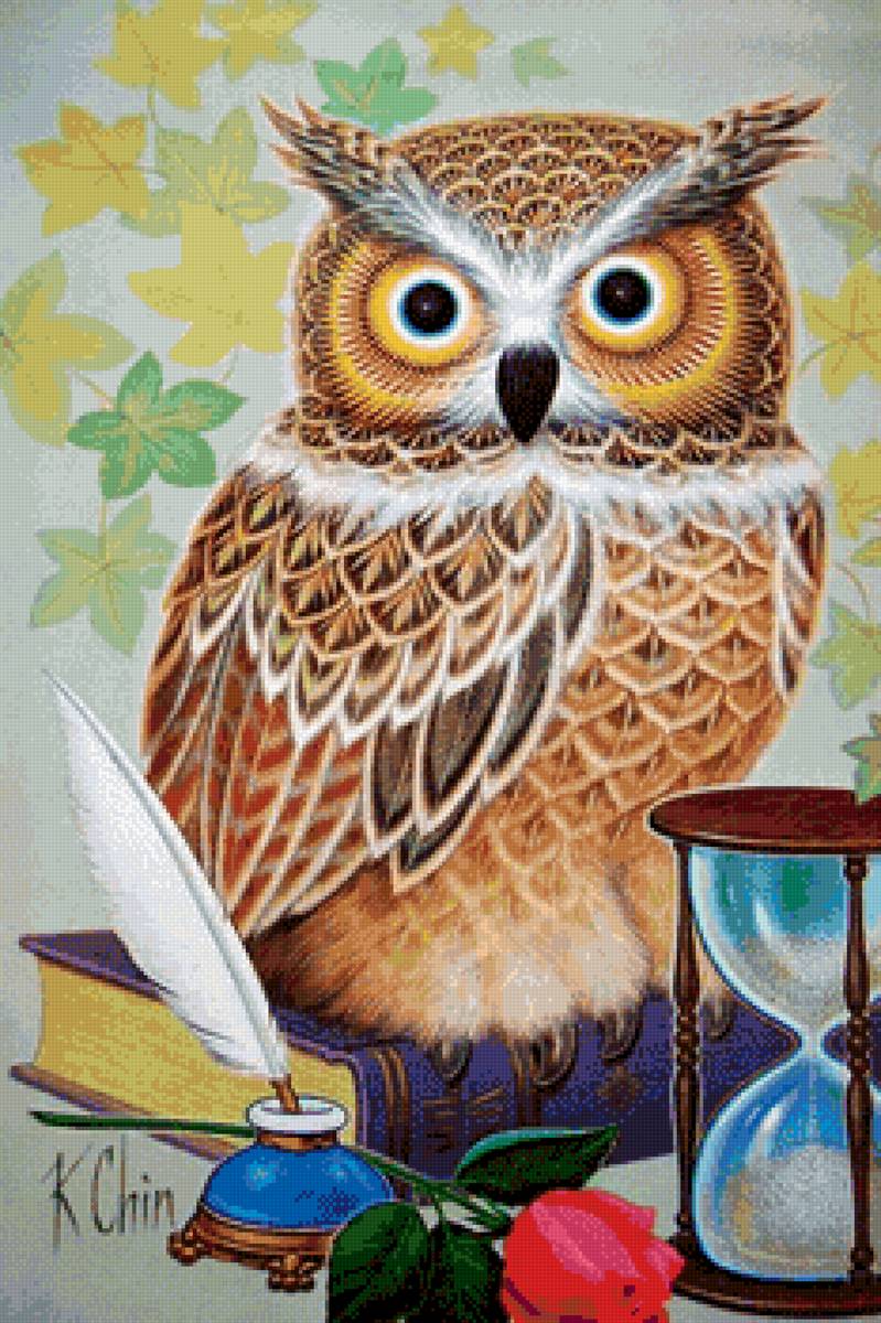 Ученая сова - птица, сова - предпросмотр